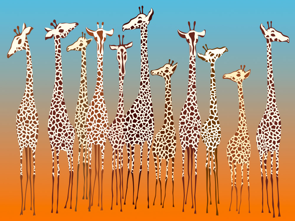 tante allegre giraffe colorate per la camera dei bambini