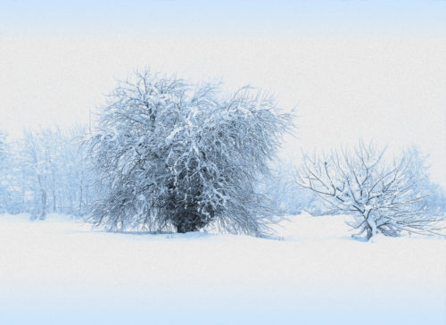 paesaggio di neve effetto pittura a olio